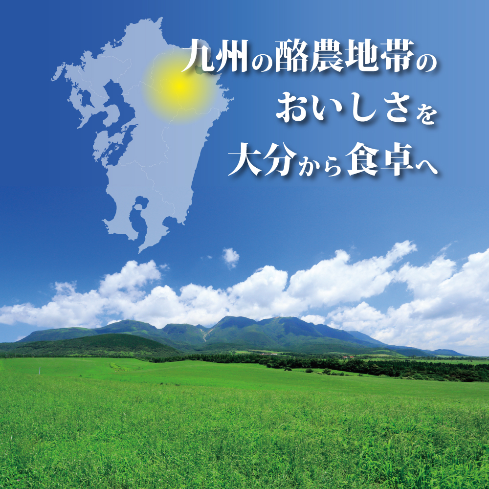 みどり牛乳ヨーグルト(プレーン)500ｇ