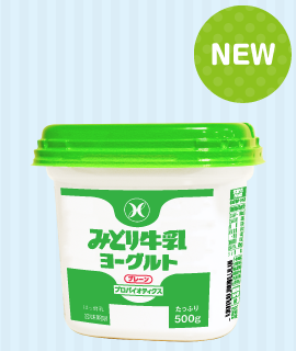 【送料込み】みどり牛乳ヨーグルト(プレーン)500ｇ×8個セット(要冷蔵品)