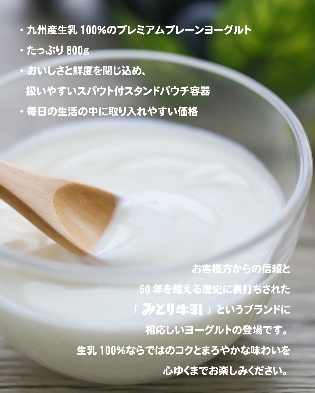 みどり牛乳ヨーグルト(パウチ)800ｇ