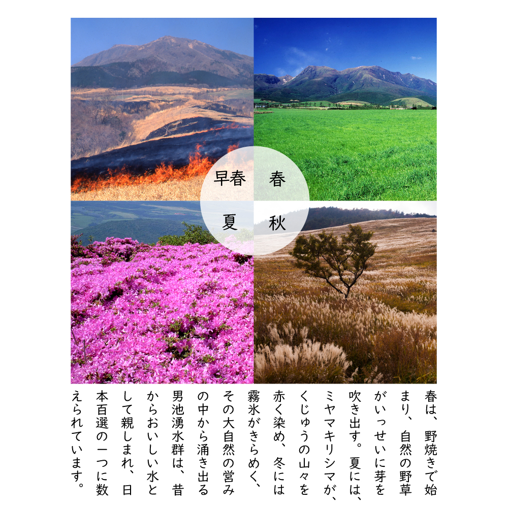 くじゅう連山の湧水20L